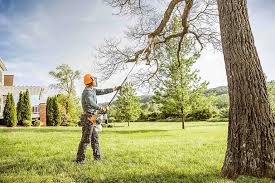 Best Pest Control for Lawns  in Grand Rapids, MN